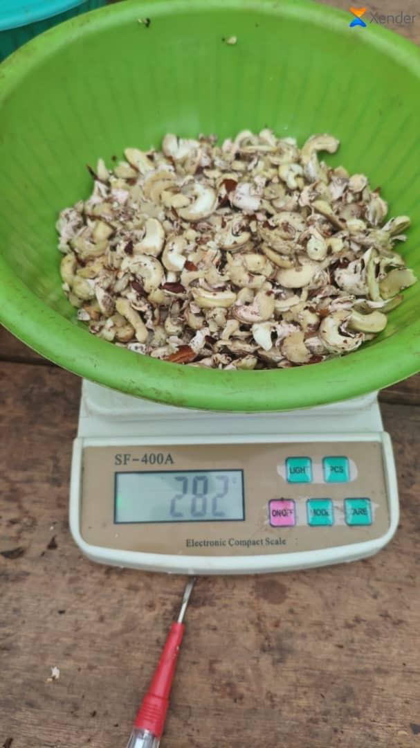 Cashew quality testing