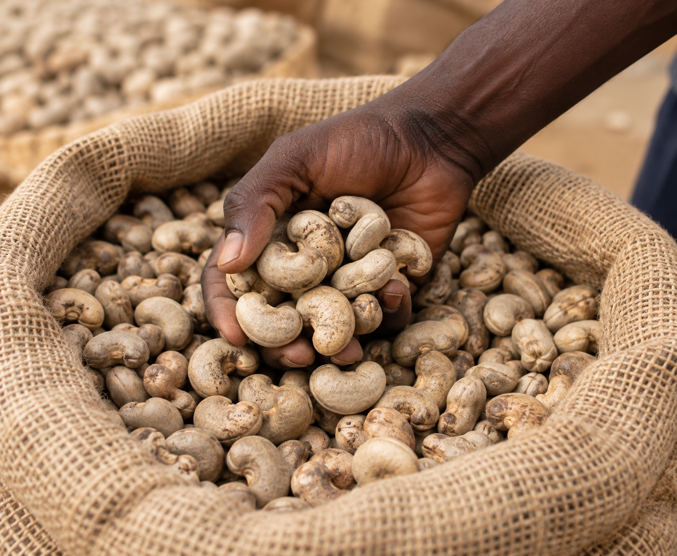 Jowax cashew supply network